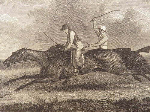 1818 HUNTING 1ed Field Sports Fishing Horse & DOG Fowling Racing FINE BINDING - Picture 23 of 24