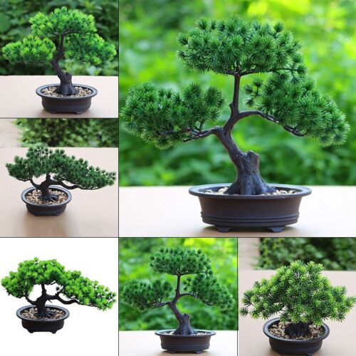 Pianta verde simulazione bonsai pino finto per decorazione scrivania casa e uffi - Foto 1 di 6