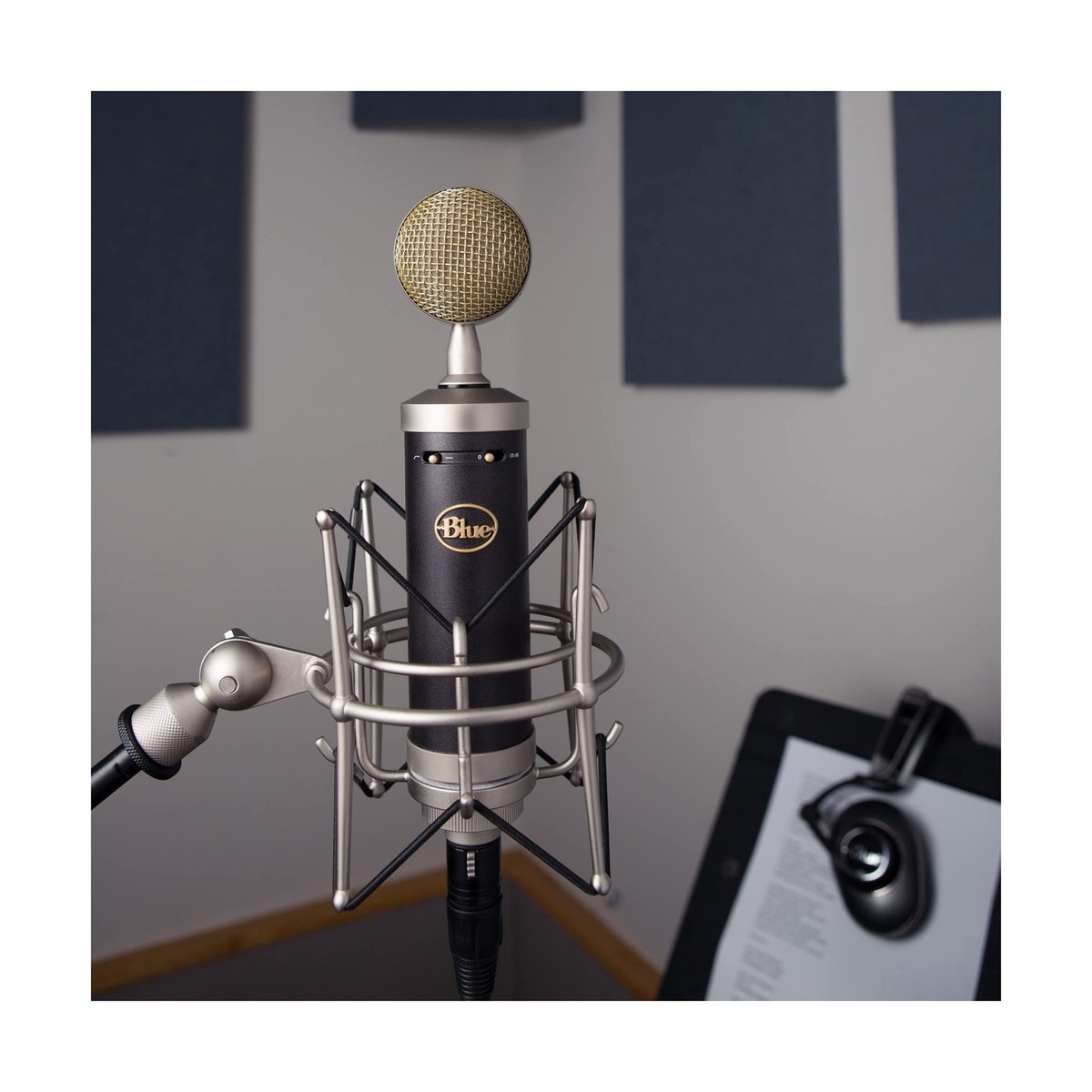 Blue Baby Bottle SL XLR Cardioid Condenser Microphone for Blue Baby Bottle SL XLR Cardioid Condenser Microphone for