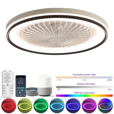 19'' RGB Ceiling Fan Light Kit LED Dimmable Flush Mount Party Fixture with Remote
