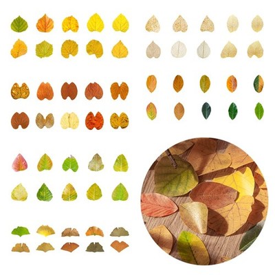 BOSOIRSOU 300 pcs Fall Leaves Washi Tape, 6 Rolls Autumn 1, multicolored 