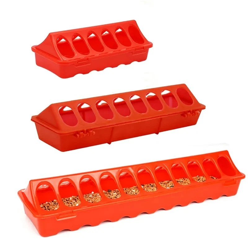 Alimentador de tierra para aves de corral con tapa abatible de plástico Little Giant de 20", aves rojas para pollos 2 piezas Foto 4 de 4