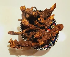 1 /4lb. OSHA ROOT Whole Herb (Ligusticum porteri) Potent Aromatic Medicinal Herb