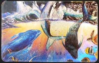 (25m) Ocean Sanctuary: Etched Image On Metal: NeoVista - Bottom Card Phone Card