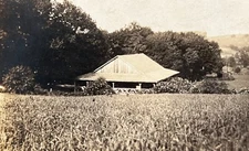 RPPC Real Photo Postcard House Surround Trees Corn Field In Front