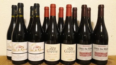 (8,00 /1L.) 12 Fl Côtes Du Rhone Probierpaket Domaine de Rochmond Chapitre Oppid