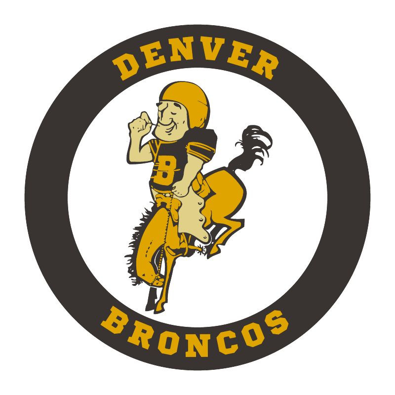 DENVER BRONCOS Vintage Rare Embroidered Iron On Patch 3