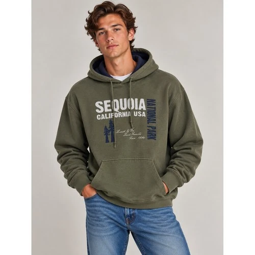 Sequoia National Park Unisex Green Gorpocore Hoodie, Large video thumbnail