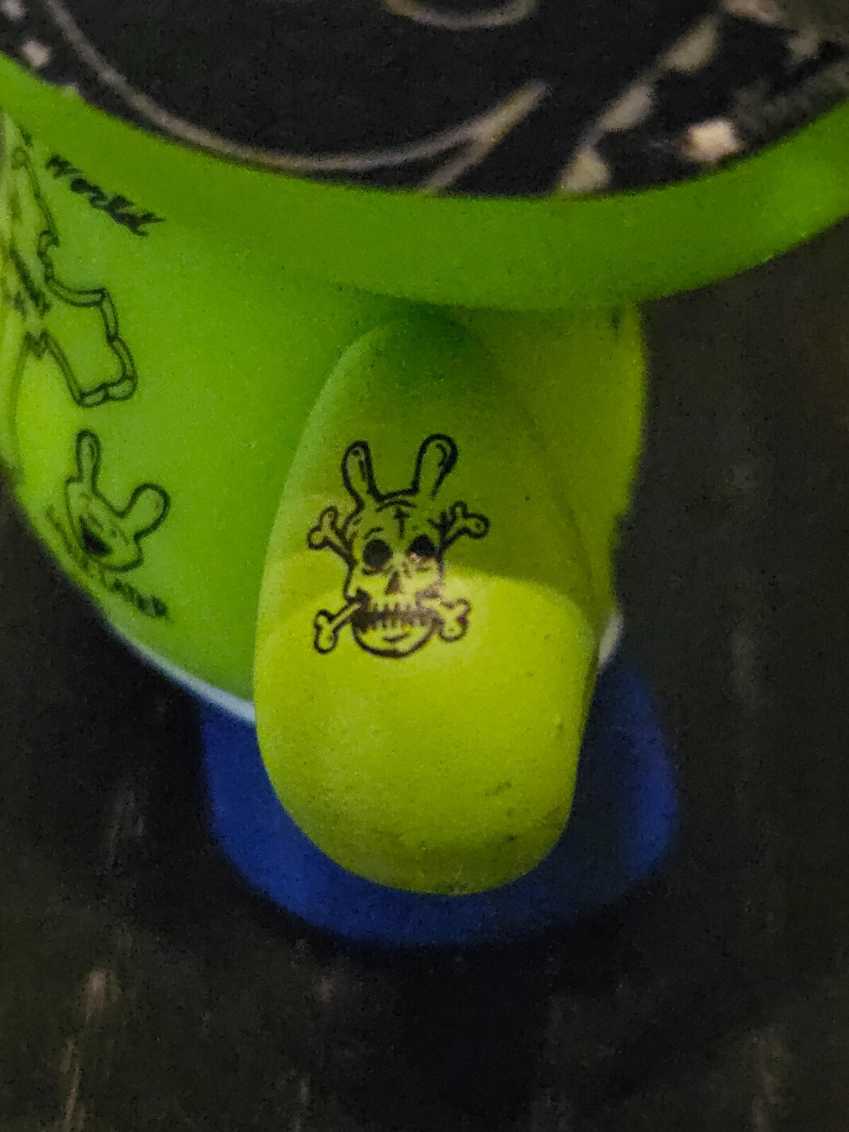 Picture 4 of 13
