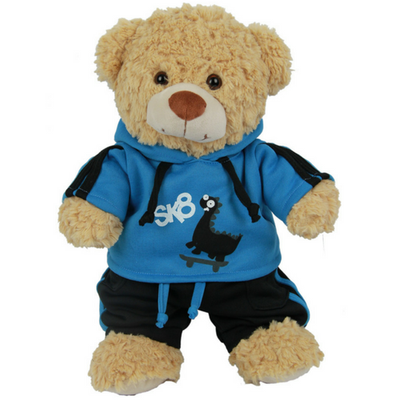 teddy bear in clothes