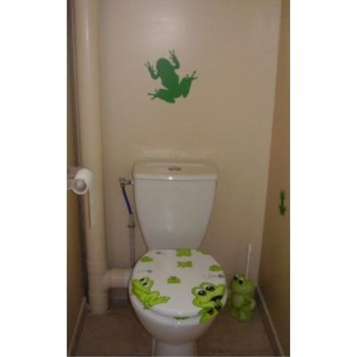 Frog Sticker 29 x 27 cm Colour 531 29 x 27 Electric Green