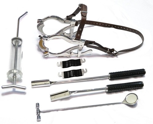 Equine Dental Speculum Gag Opener Straps for | UK