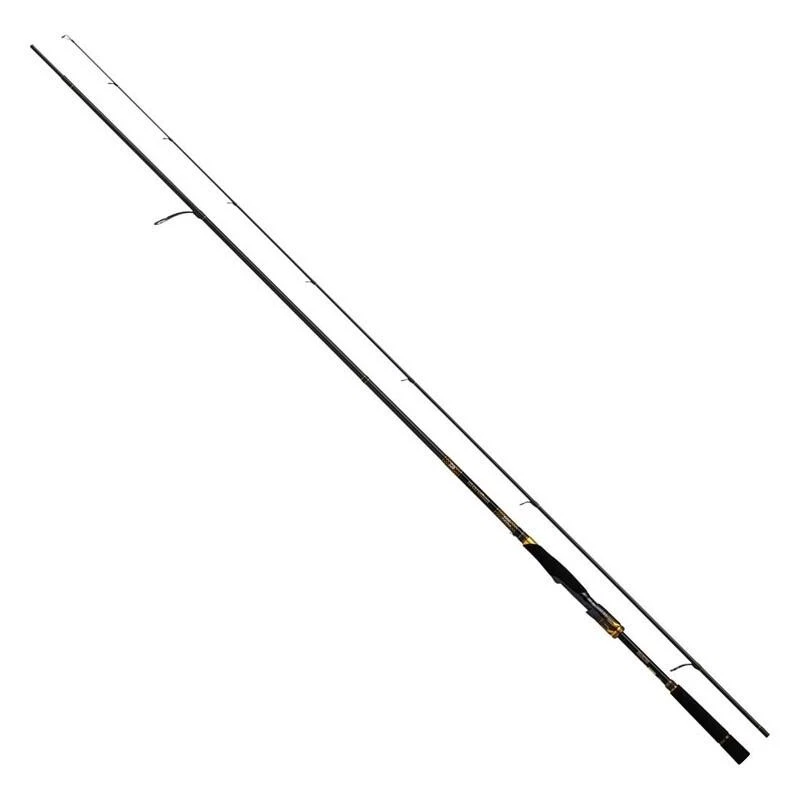 10ft fishing rod daiwa Daiwa Beefstick Surf Rod 10'0"