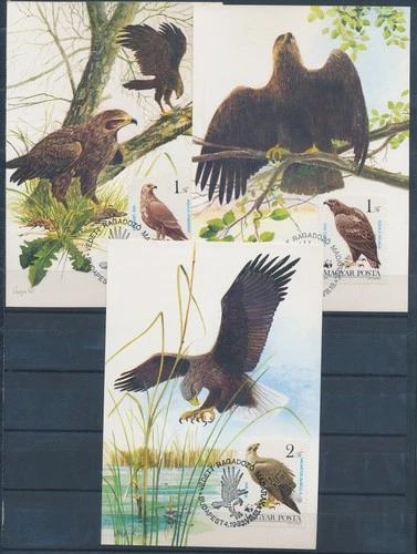 XE59681 Hungary 1983 birds animals maxicards used
