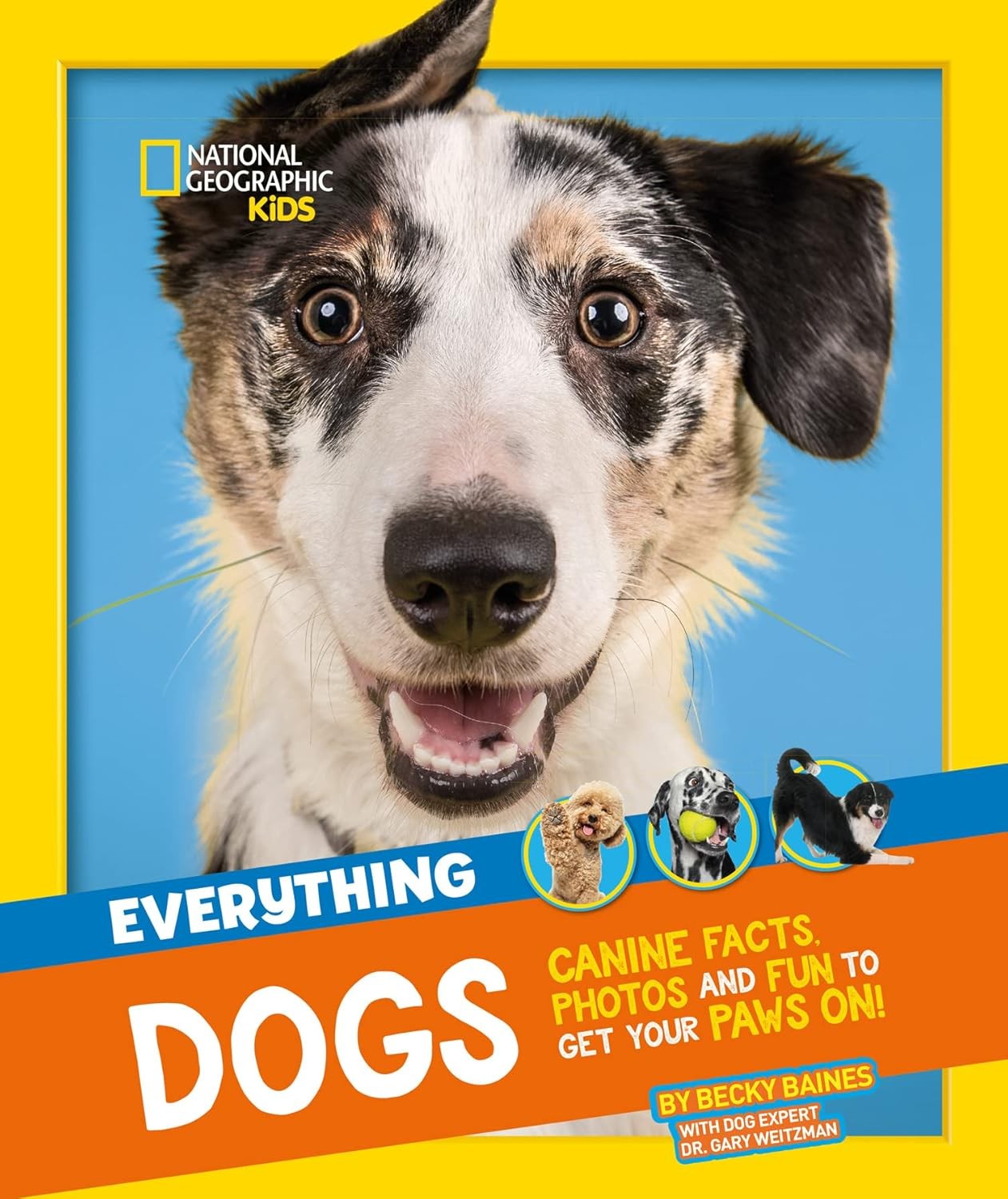 Everything: Dogs: Canine facts, photos and fun to get your paws on! (National G - Image 6
