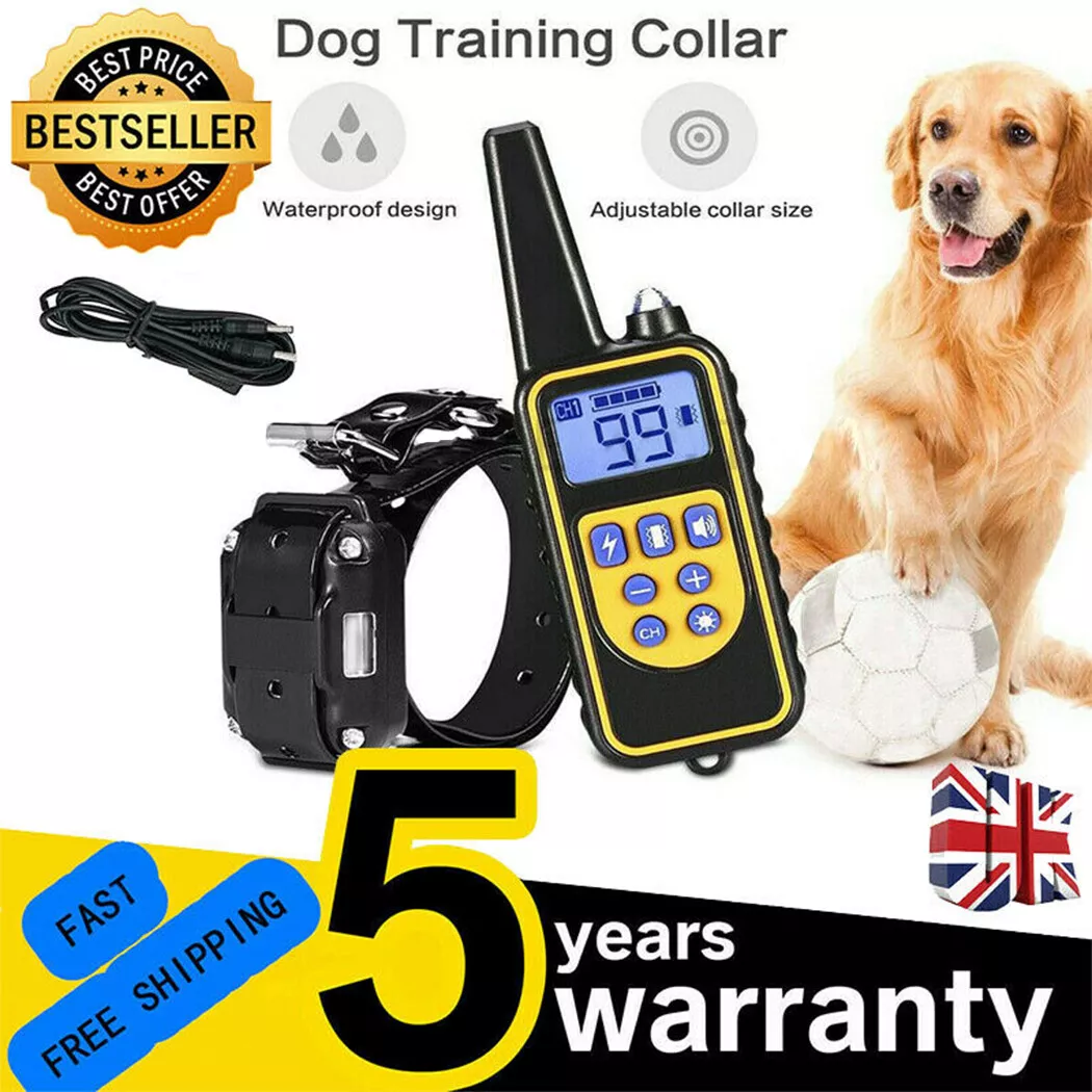 Pet trainer best sale collar