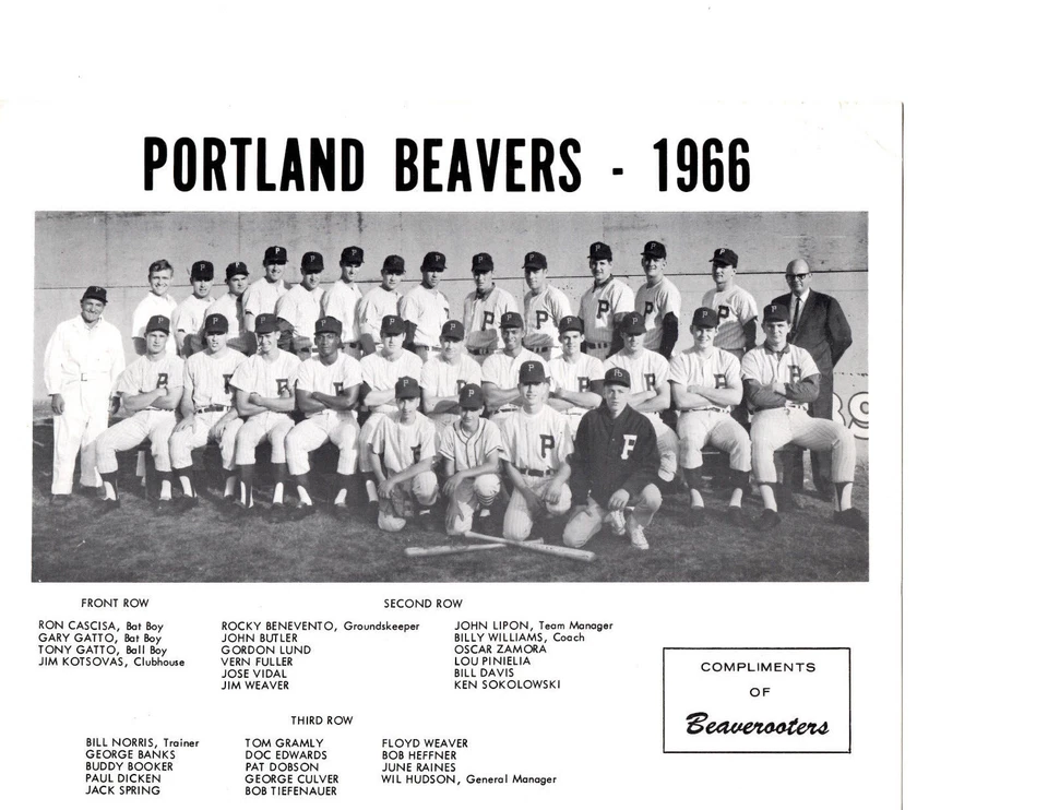 1966 PORTLAND BEAVERS TEAM PCL 8X10 PHOTO PINIELLA BASEBALL OREGON USA