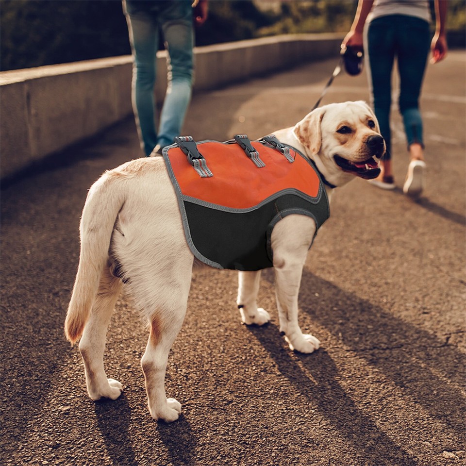 Hunter Reflective Dog Hunting Safety Vest High Visibility Outdoor