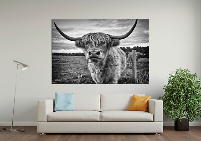 Bull Canvas Wall Decor,Longhorn Bull Buffalo Poster,Cow Canvas,Bull Canvas