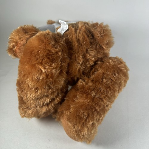 Ms Teddy Bear Plush Brown White Shirt Ovarian Cancer Alliance Cincinnati 9" - Picture 2 of 10