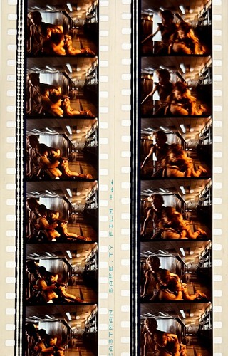 Jurassic Park 1993 Very Rare Unmounted 35mm Film Cells - Steven Spielberg - Picture 57 of 142