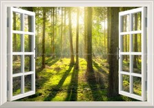Peelable Wall Sticker Poster Window View Forest (A1 830×585mm)