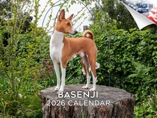 Basenji Dog Breed Calendar 2026 12x18 Made in USA