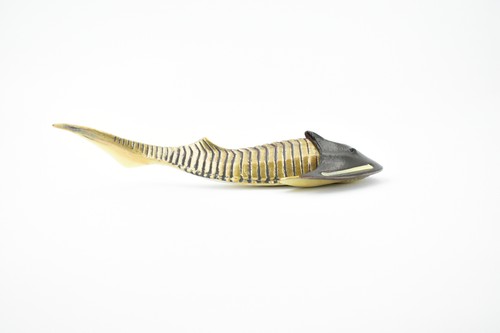 Cephaiaspis, wymarła ryba pancerna malowana, realistyczna zabawka model 5" CH175 BB113 - Zdjęcie 5 z 7