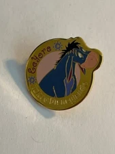 TDR Tokyo Eeyore Told Circles TDL Flowers Winnie The Pooh Disney Pin  (A6)