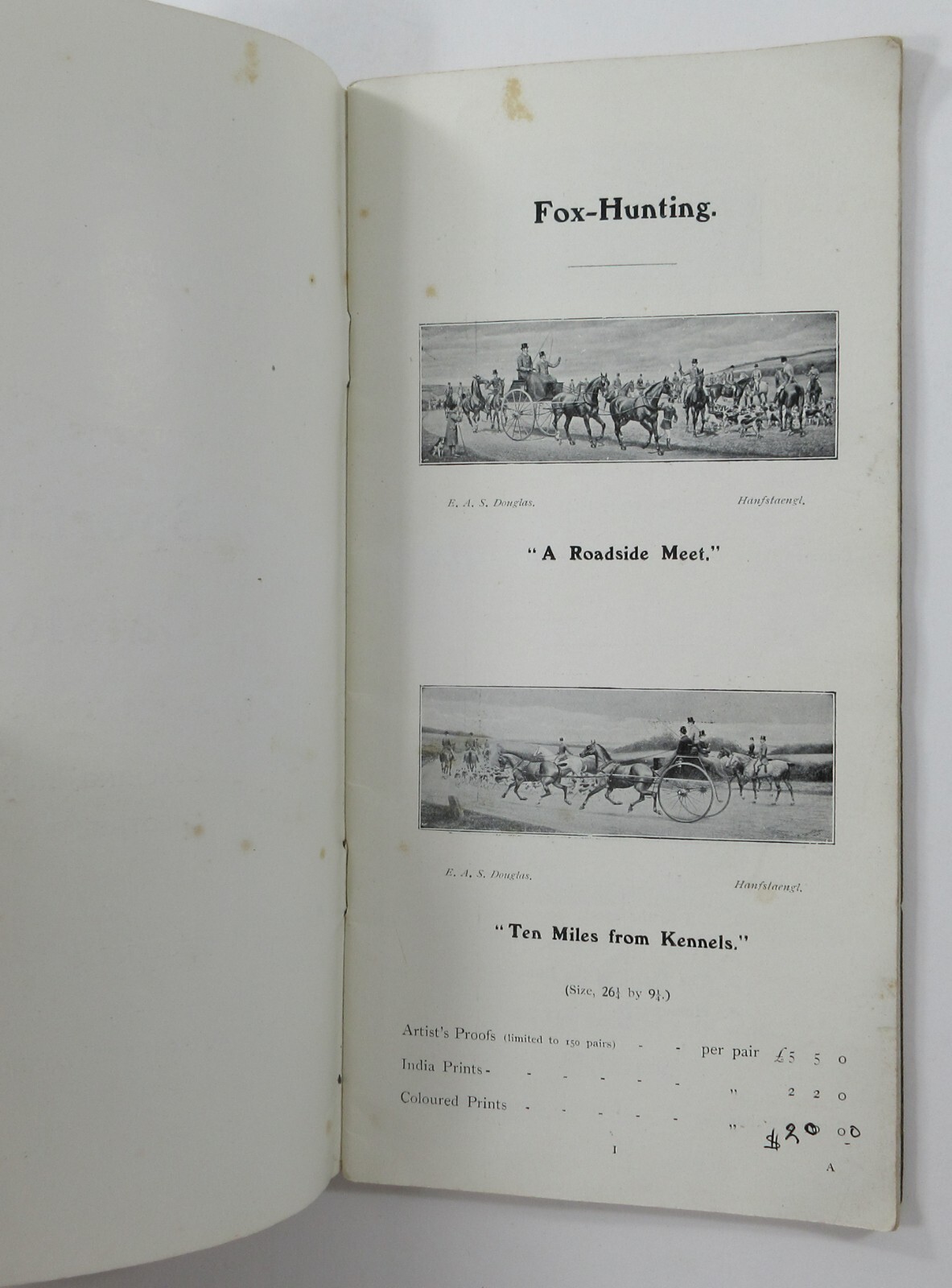 Picture 4 of 11