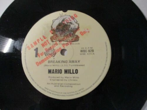 Rock Promo Single Vinyl Records