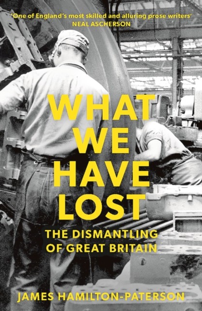 What We Have Lost by James Hamilton-Paterson (Paperback Book)