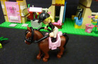 LEGO FRIENDS HEARTLAKE STABLES 3189 COMPLETE SET DIRECTIONS NO SEPARATOR OR BOX — photo 4
