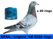 RPRA racing pigeons rings GB 2026 - packet of 20 - UK original + transfer form