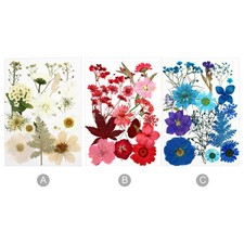 1 Packung getrocknete gepresste Blumen trockene Bl&auml;tter Bulk-Kit f&uuml;r