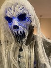 Spirit Halloween Evil Entity Retired Halloween animatronic W/box — photo 1