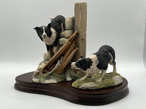 Border Fine Arts Collie Dogs 'TODAS LAS COSAS SABIAS Y MARAVILLOSAS' "Bob & Sweep" JH58 - Imagen 14 de 24
