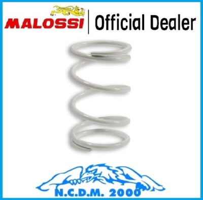 Malossi Sprung Von Kontrast Weiß Variator Honda Silver Wing 600 4T LC