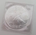 2006 Walking Liberty American Eagle .999 Silver Dollar