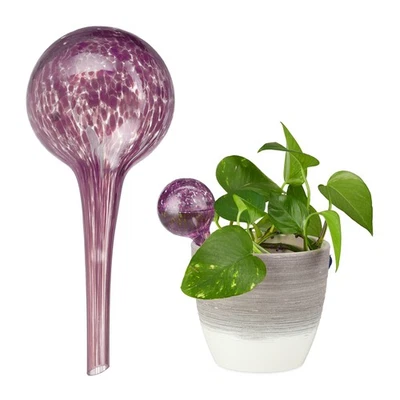 Globe d'arrosage distributeur d'eau pour plantes arroseur automatique 75 ml - Photo 1/4