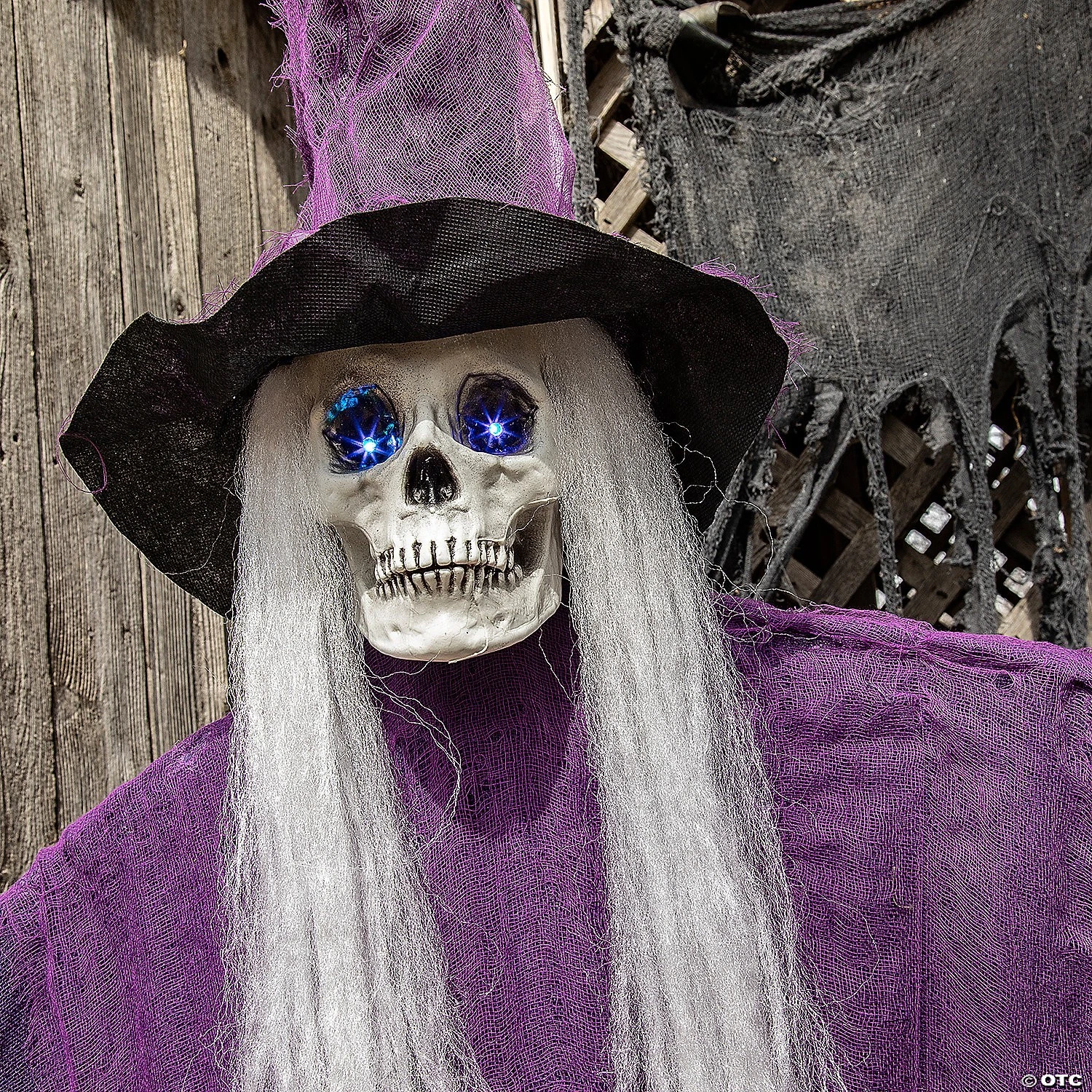 Life Size Animated Talking Skeleton Witch Halloween Decor Outdoor Haunted Prop