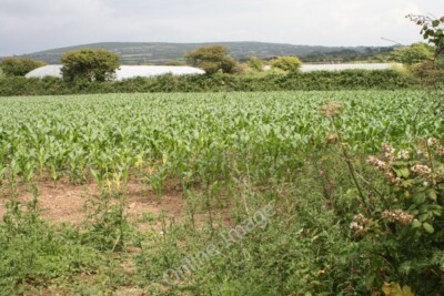 Photo 6x4 A cultivated field near Greenberry Kenneggy Downs Looking acros c2011