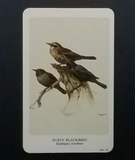 General Cigar Company Trading Card - No. 11 Rusty Blackbird - Card 1