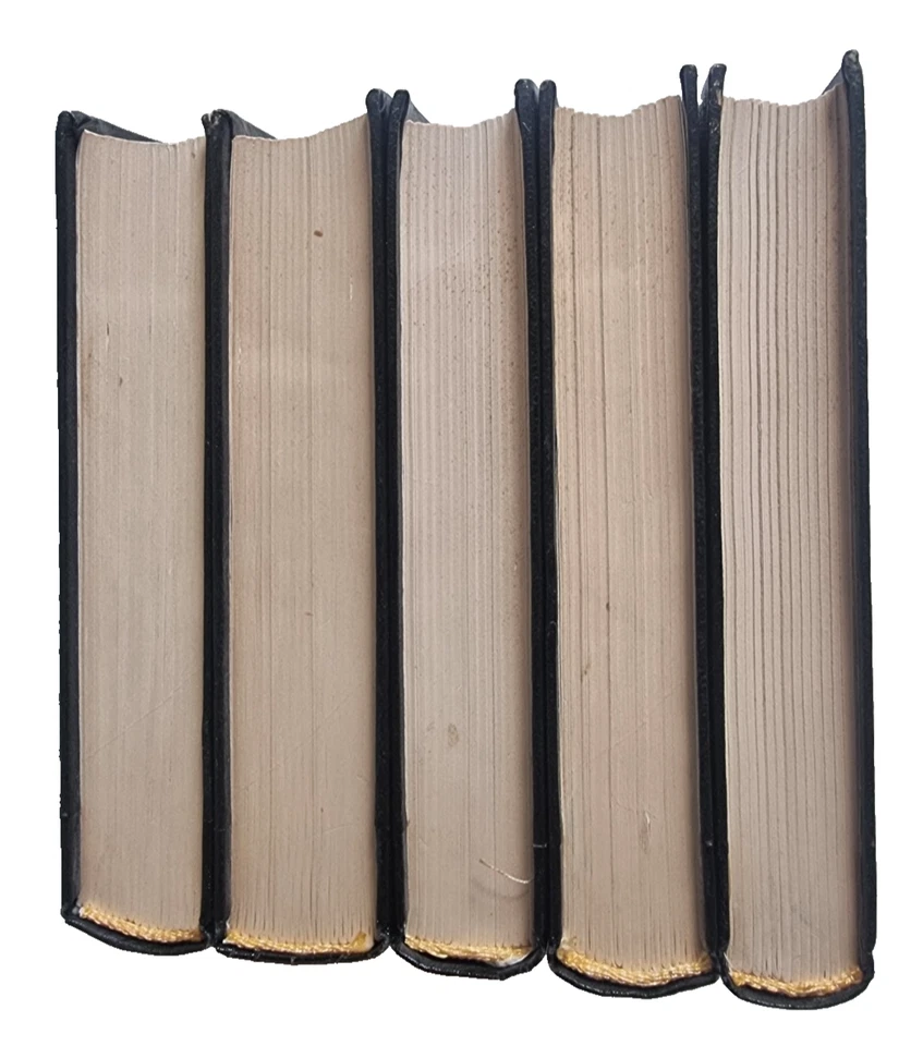 Hebrew Dictionary - Illustrated - 5 Volumes - Hardcover - Image 3 of 4