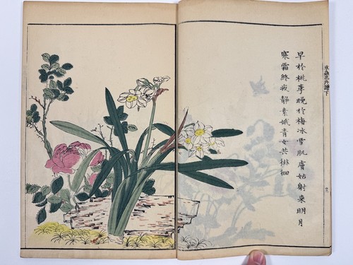 Japanese Woodblock Print Book “Kaishien Sochukakafu” all 4volume 芥子園画伝 - Picture 20 of 24