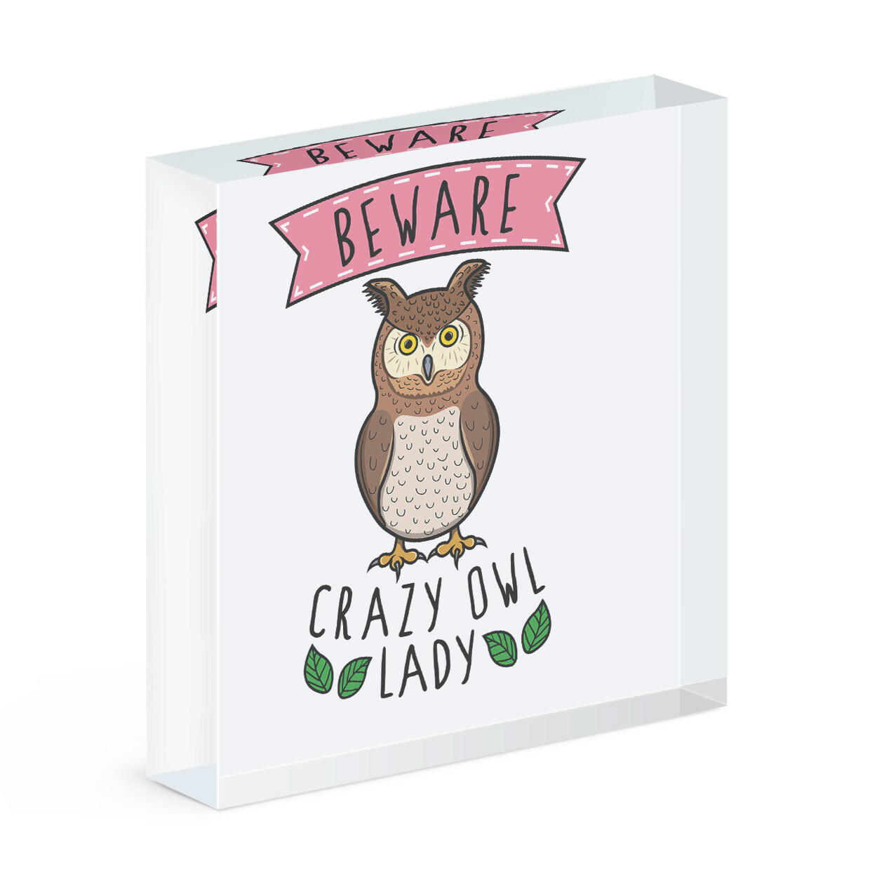 Beware Crazy Owl Lady Acrylic Photo Block Frame Funny Cute Animal Bird