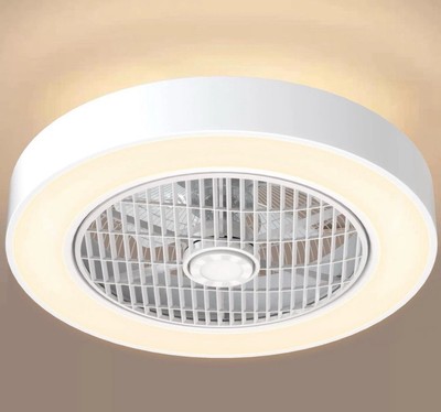 20'' Modern Ceiling Fan with Dimmable Light Remote Control Flush Mount Lamp Light