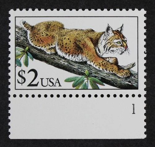 CKStamps: US Stamps Collection Scott#2482b Mint NH OG