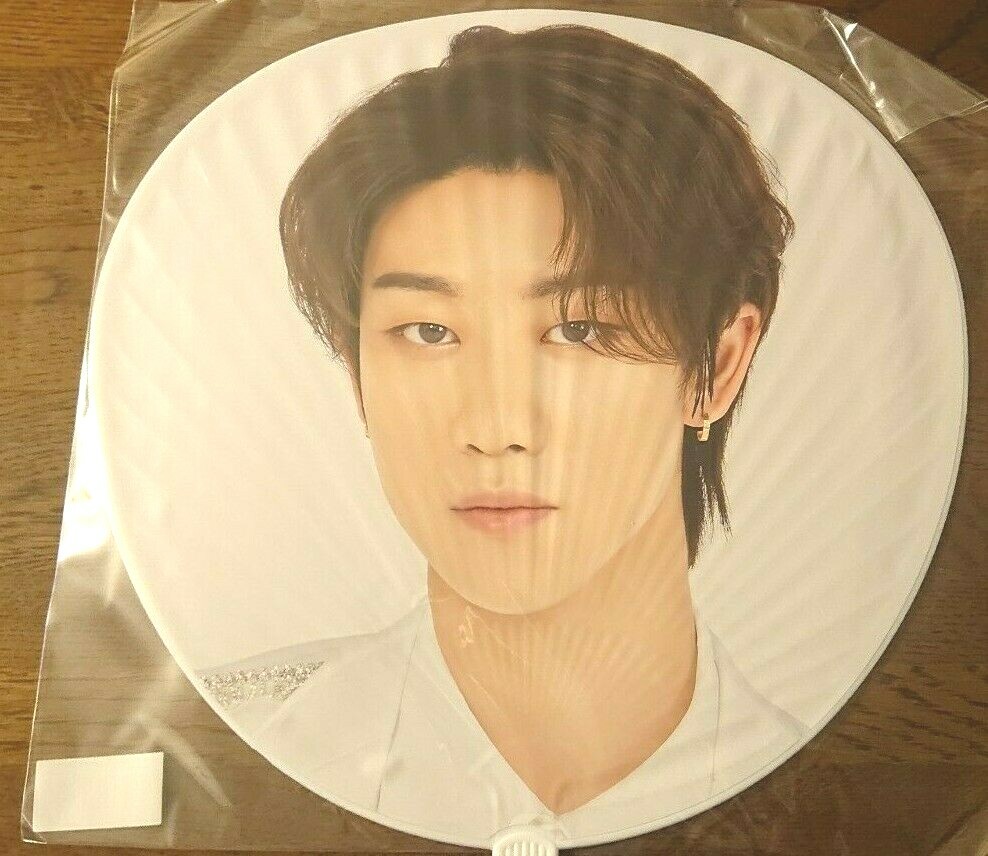 SEVENTEEN DOME TOUR SVT 2020 トートバッグ A SEVENTEEN GLOBAL 🎨 on X: 