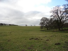 Photo A3 Wadley Beck Fir Tree The Weardale Way runs alongside this littl c2012